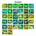 PixieDots Pure Pixels 1000ct Refill - Palette B (Forest Greens) 2.6mm Mini Fuse Beads | Fusible Beads Refill for Craft