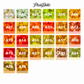 PixieDots Pure Pixels 1000ct Refill - Palette A (Warm Autumn) 2.6mm Mini Fuse Beads | Fusible Beads Refill for Craft